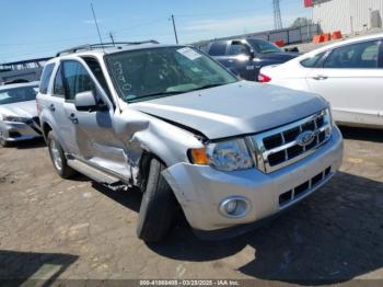  Salvage Ford Escape