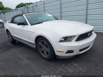  Salvage Ford Mustang