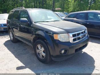 Salvage Ford Escape