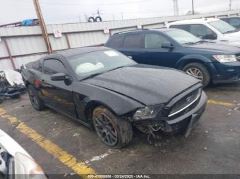  Salvage Ford Mustang