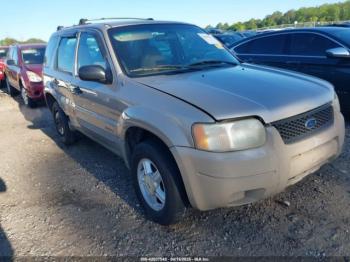  Salvage Ford Escape