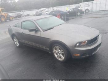  Salvage Ford Mustang