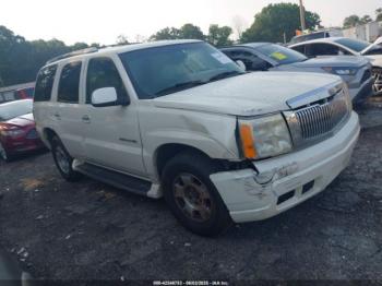  Salvage Cadillac Escalade