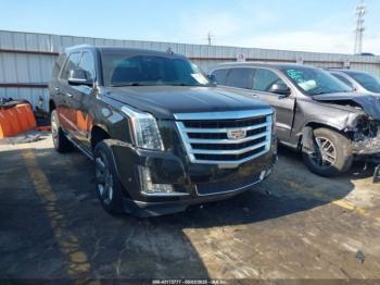  Salvage Cadillac Escalade