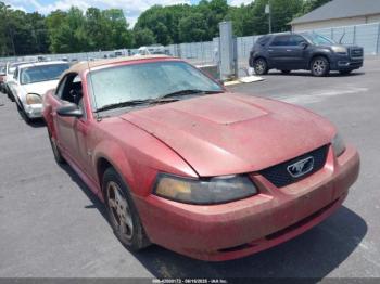  Salvage Ford Mustang