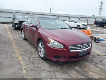  Salvage Nissan Maxima