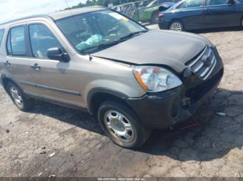  Salvage Honda CR-V