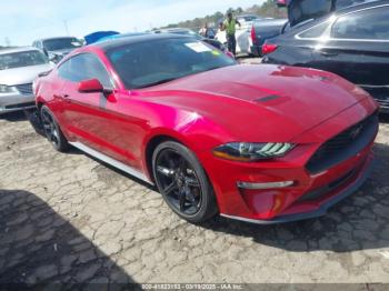  Salvage Ford Mustang