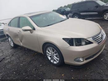  Salvage Lexus Es