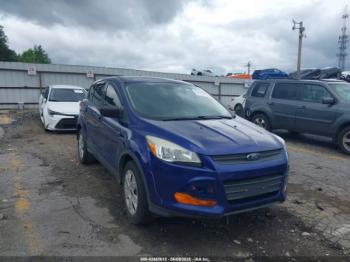  Salvage Ford Escape