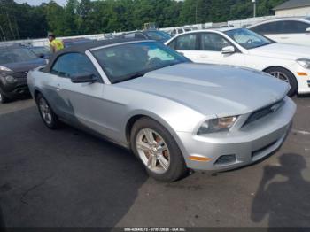  Salvage Ford Mustang
