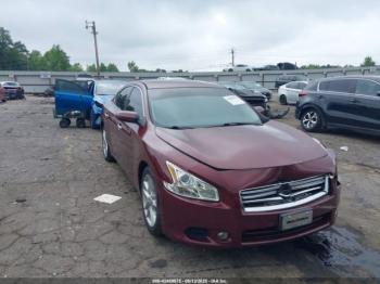  Salvage Nissan Maxima