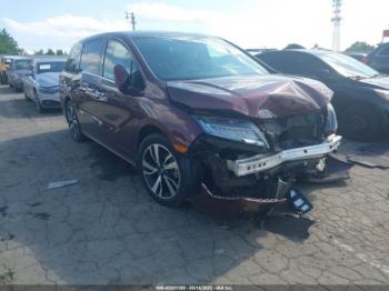  Salvage Honda Odyssey