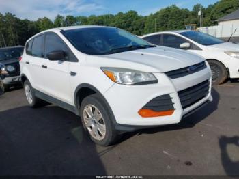  Salvage Ford Escape