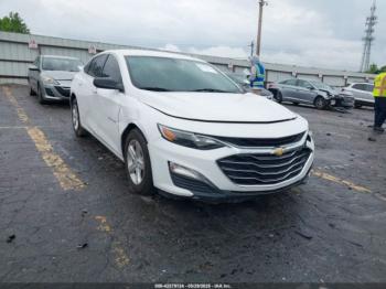  Salvage Chevrolet Malibu