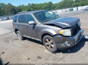  Salvage Ford Escape