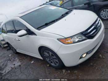  Salvage Honda Odyssey