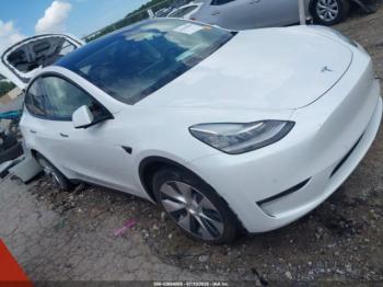  Salvage Tesla Model Y