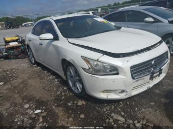  Salvage Nissan Maxima