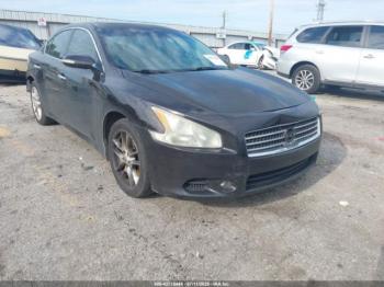  Salvage Nissan Maxima