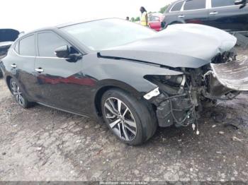  Salvage Nissan Maxima