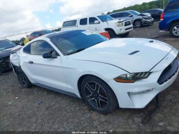  Salvage Ford Mustang