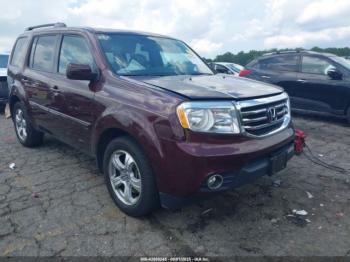 Salvage Honda Pilot