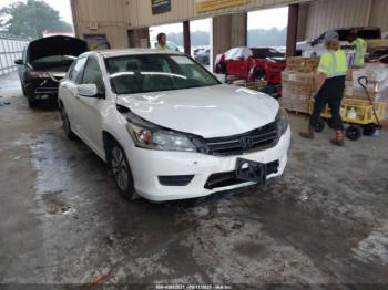  Salvage Honda Accord