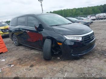  Salvage Honda Odyssey