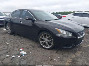  Salvage Nissan Maxima