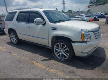  Salvage Cadillac Escalade