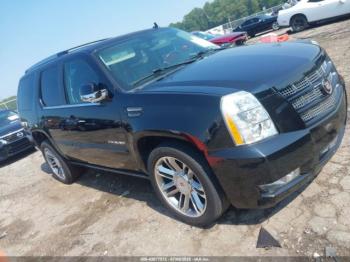  Salvage Cadillac Escalade