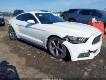  Salvage Ford Mustang
