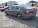 Honda Accord Ex-l Image 6