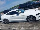 Ford Mustang Ecoboost Image 11