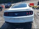 Ford Mustang Ecoboost Image 9