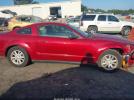 Ford Mustang Image 10