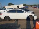 Toyota Camry Le Image 11