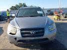 Hyundai SANTA FE Gls Image 13
