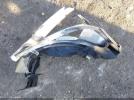 Ford Focus S Image 16