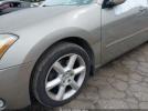 Nissan Maxima 3.5 Se Image 7