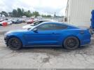 Ford Shelby Gt350 Image 12