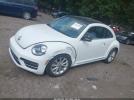 Volkswagen Beetle 2.0t Se Image 8