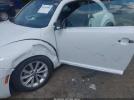 Volkswagen Beetle 2.0t Se Image 15