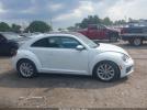 Volkswagen Beetle 2.0t Se Image 3