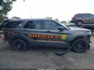 Ford Police Interceptor Image 2