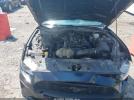 Ford Mustang Ecoboost Image 3