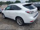 Lexus RX Image 12