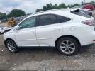 Lexus RX Image 3