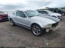 Ford Mustang Image 1